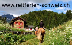 hotels mittelland